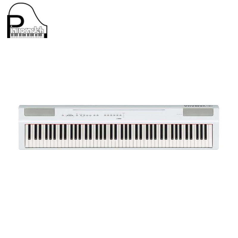  اقساط پیانو دیجیتال 